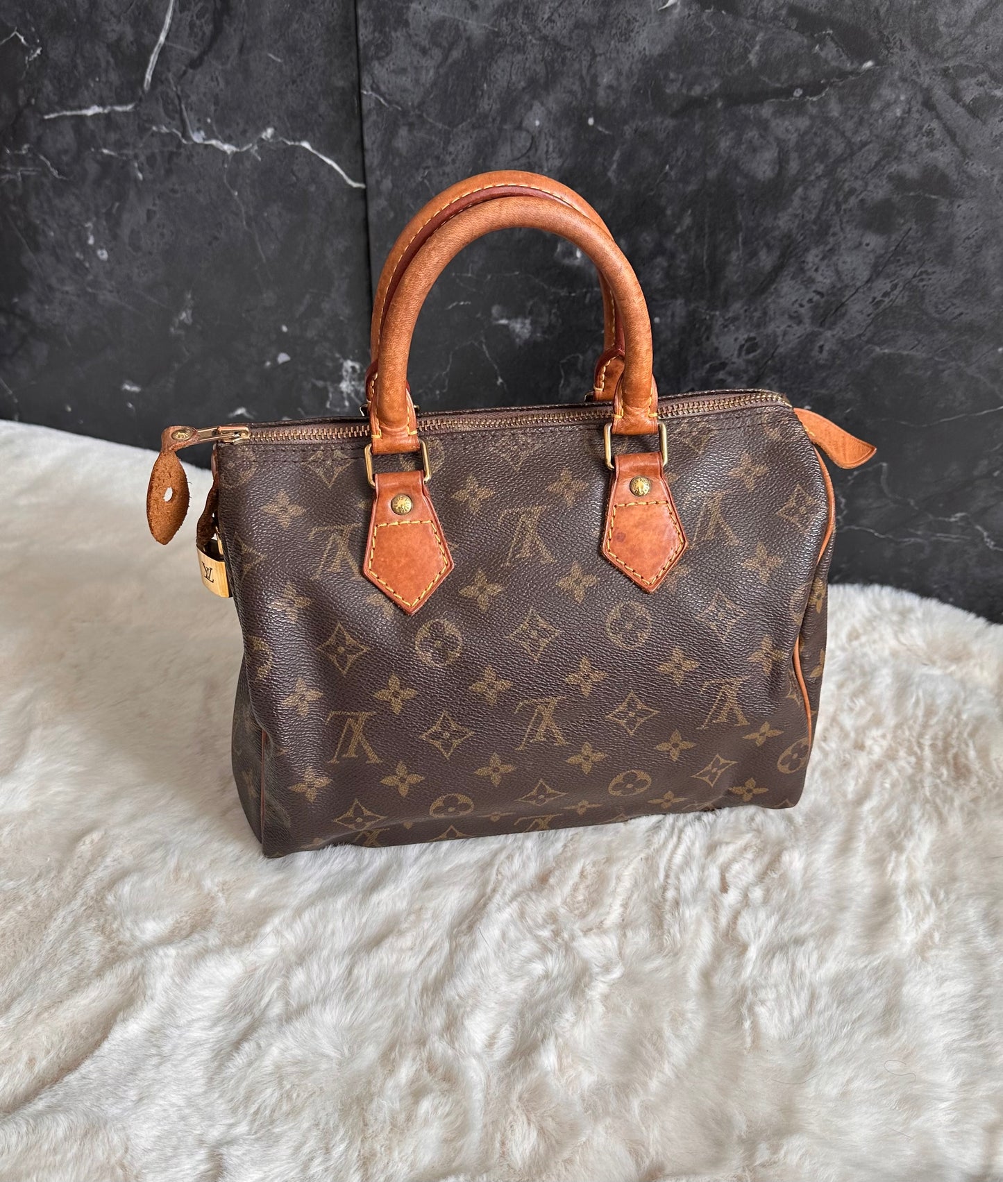 Louis Vuitton Speedy 25
