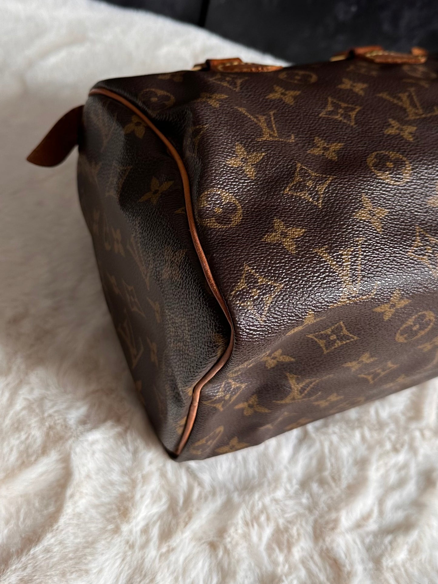 Louis Vuitton Speedy 25