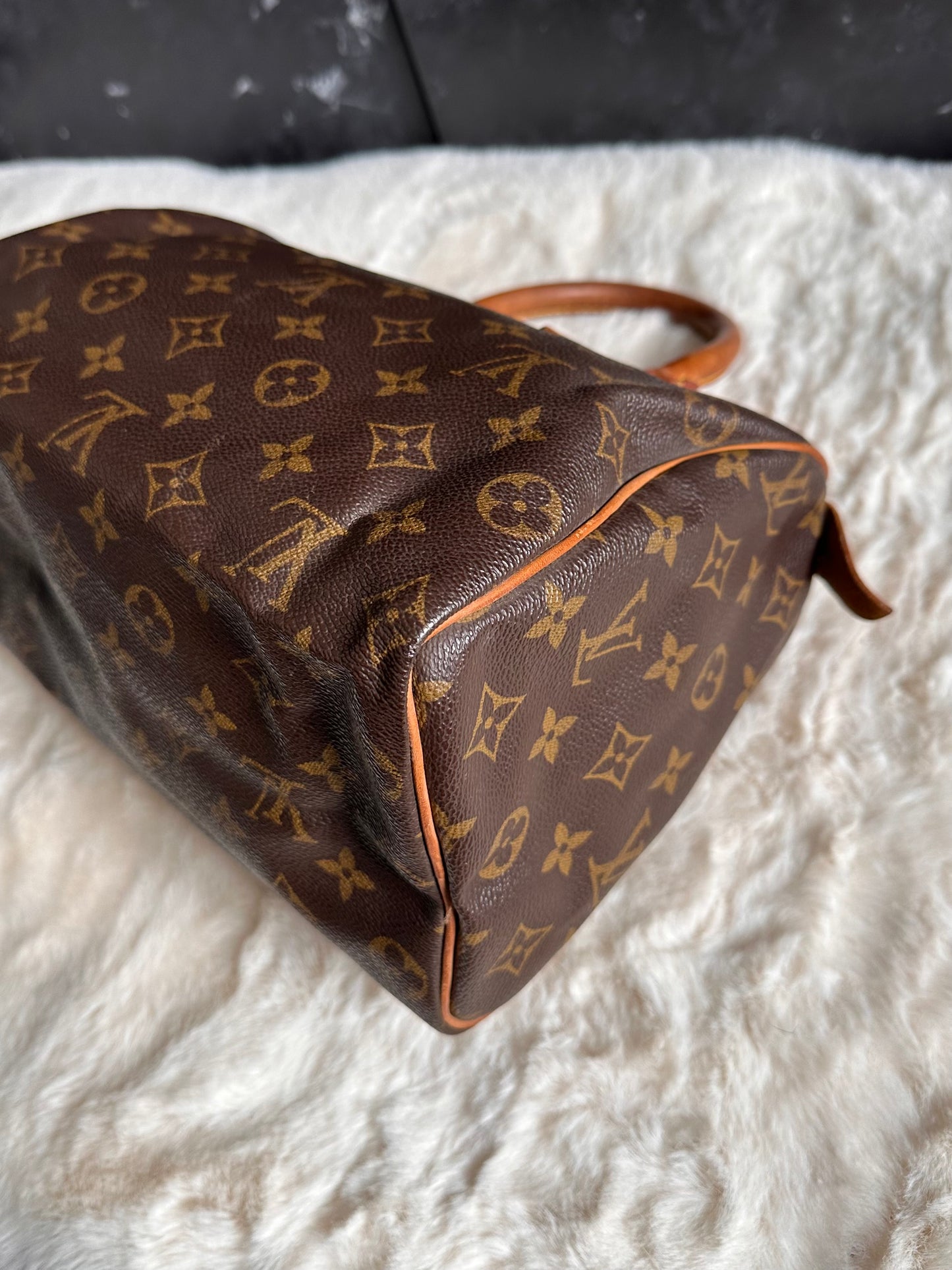 Louis Vuitton Speedy 25