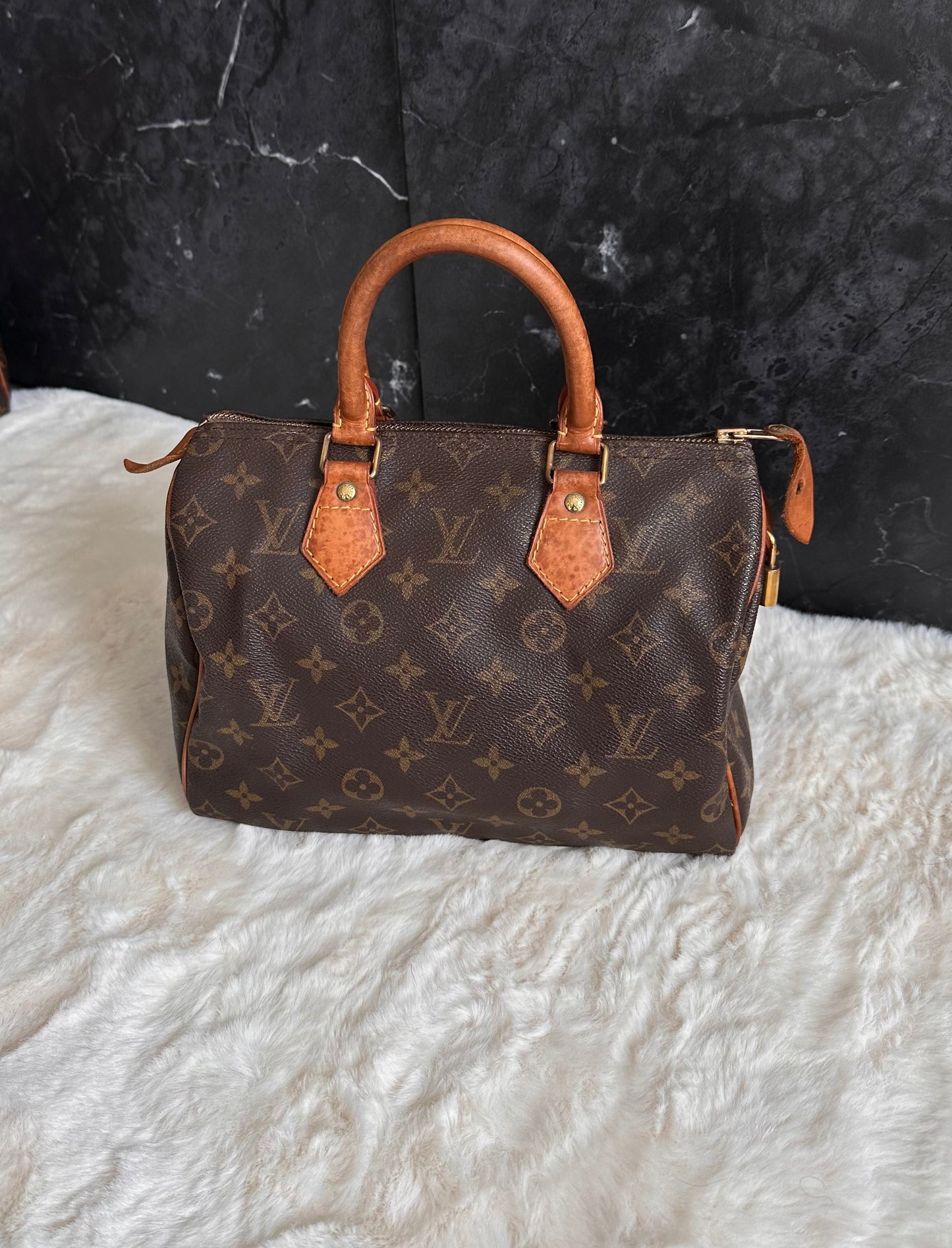 Louis Vuitton Speedy 25