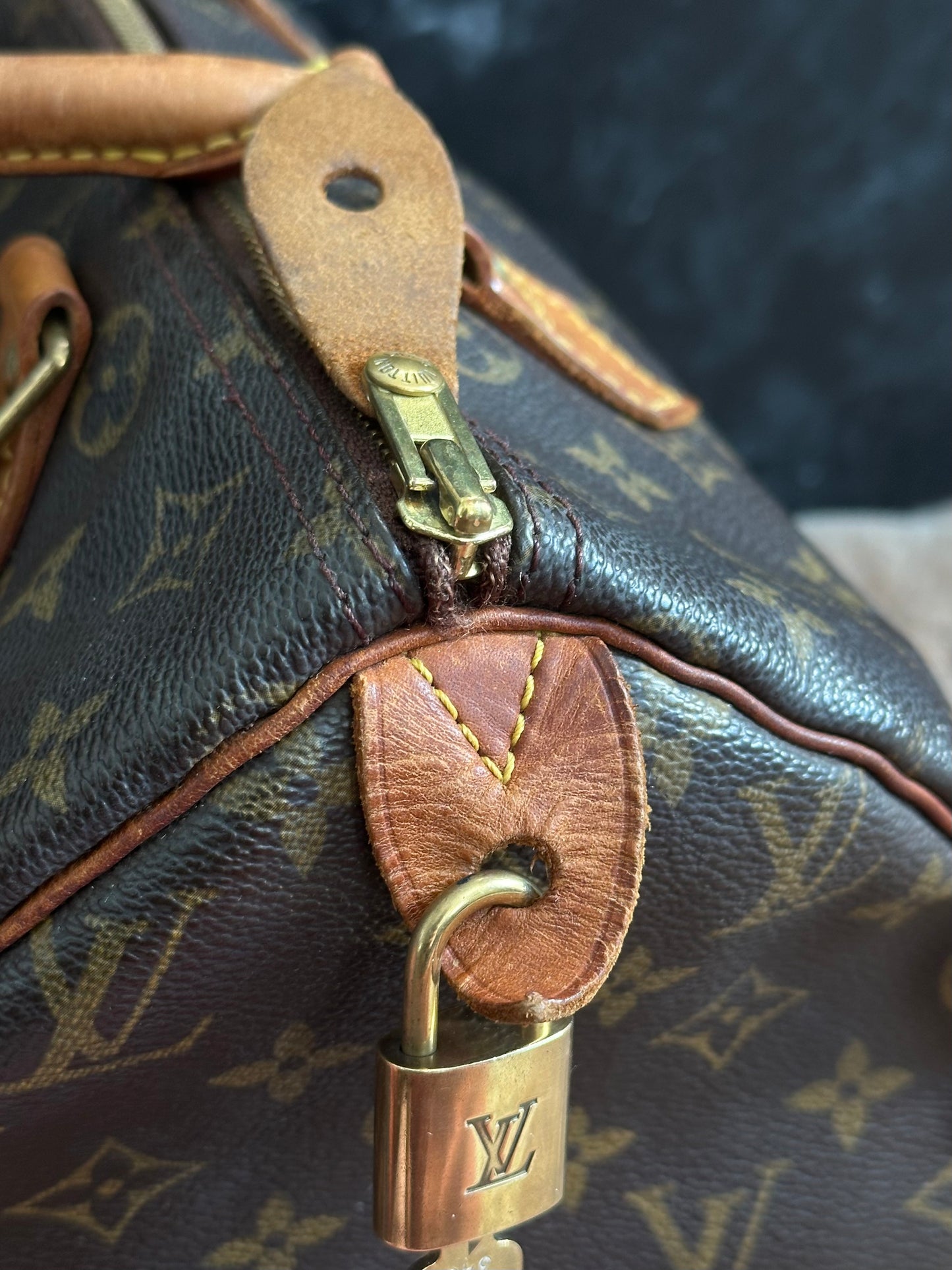 Louis Vuitton Speedy 30