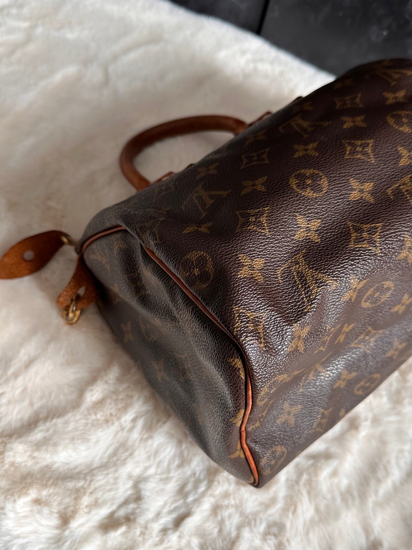 Louis Vuitton Speedy 25