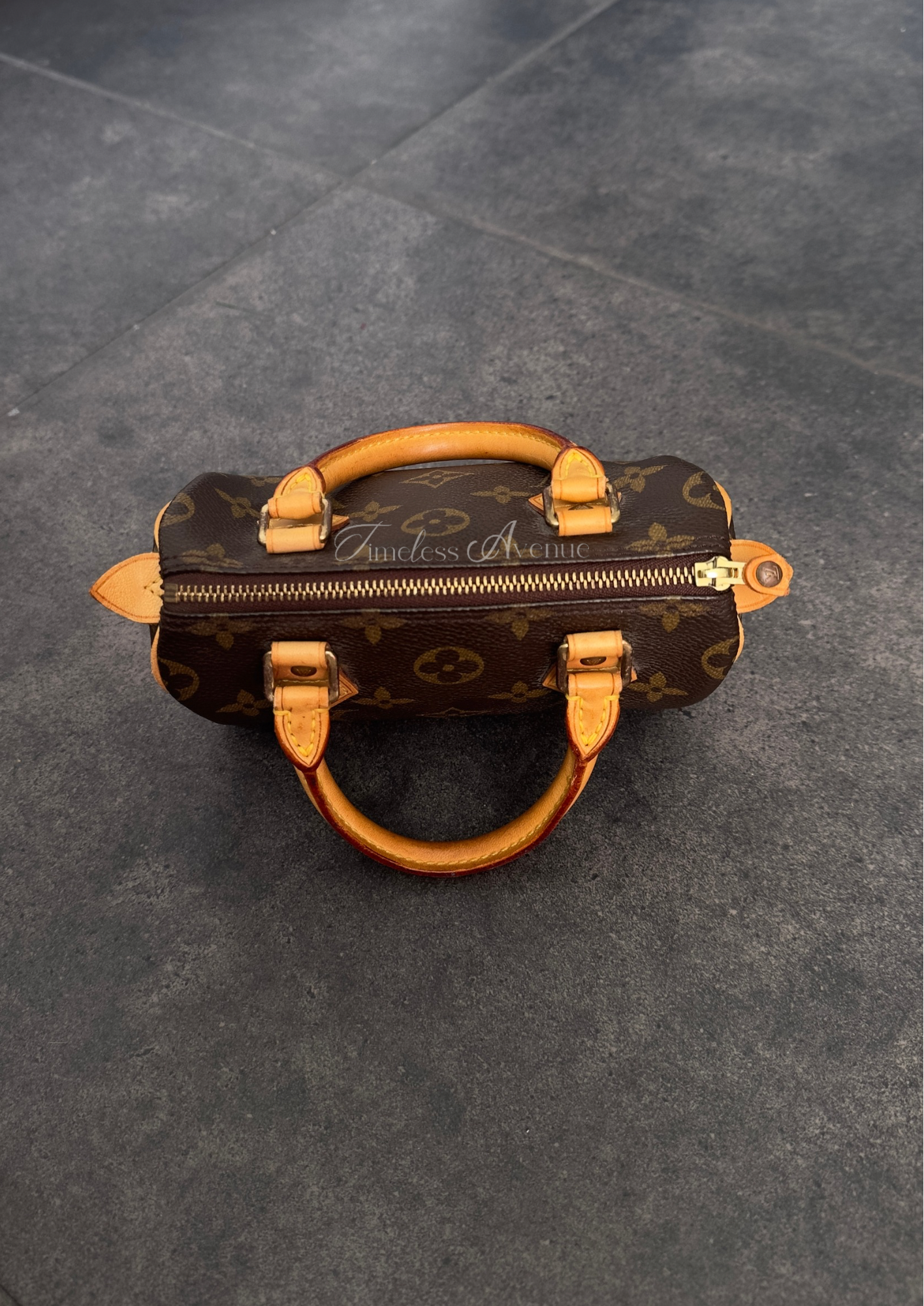 Louis Vuitton Nano Speedy