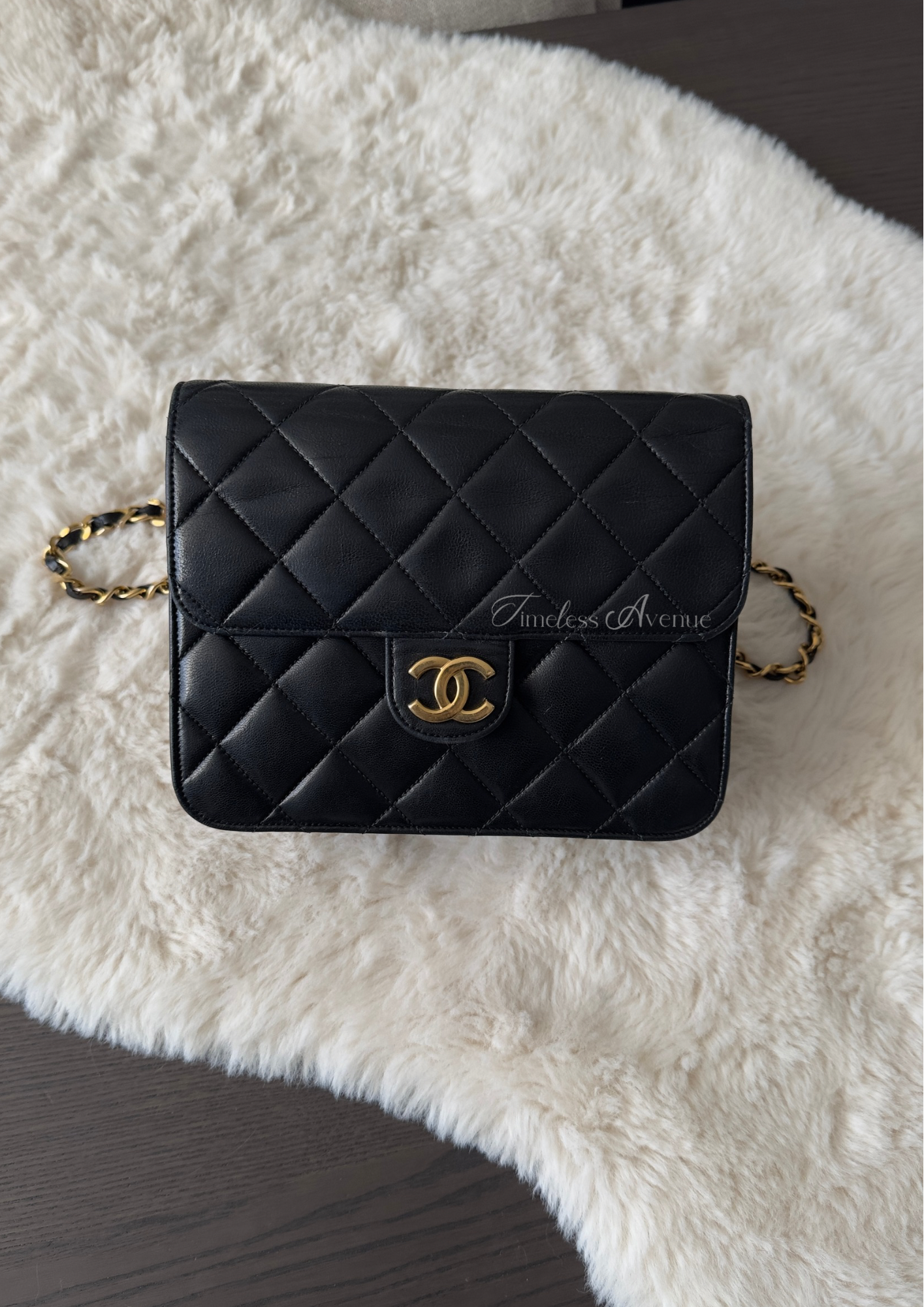 Chanel RARE Collector bag