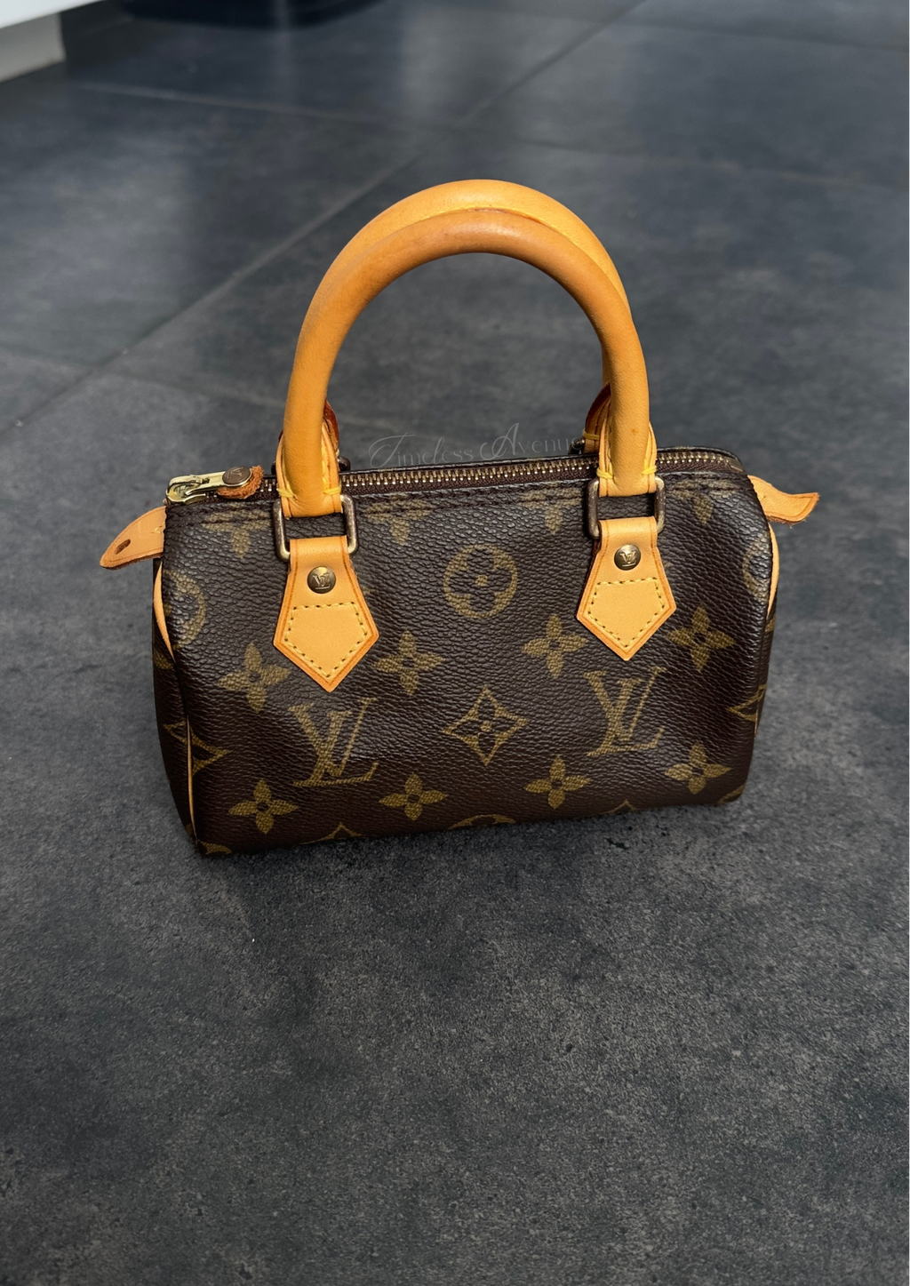 Louis Vuitton Nano Speedy