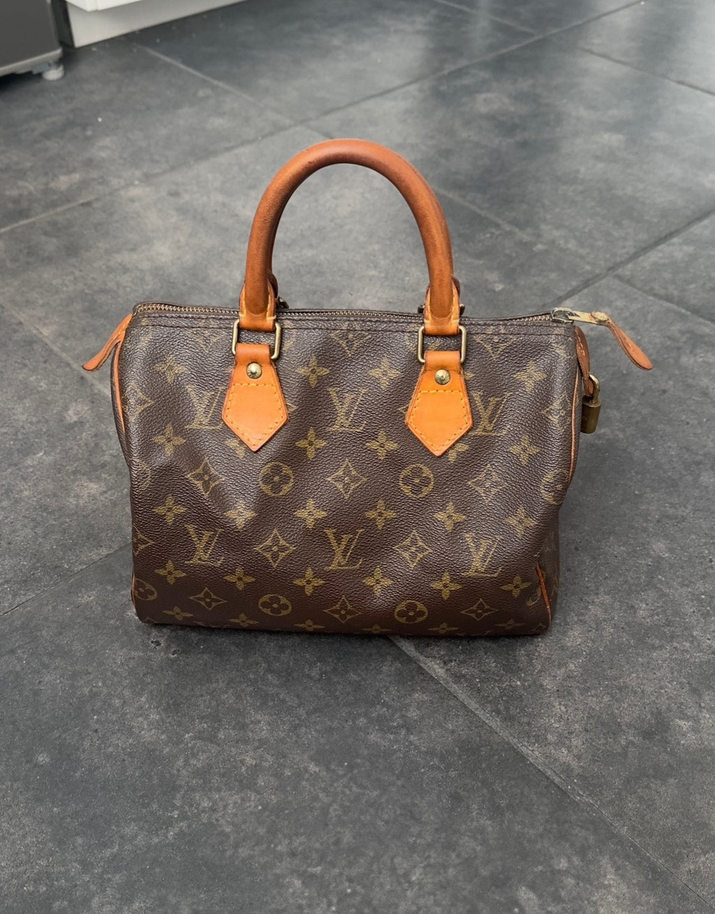 Louis Vuitton Speedy 25
