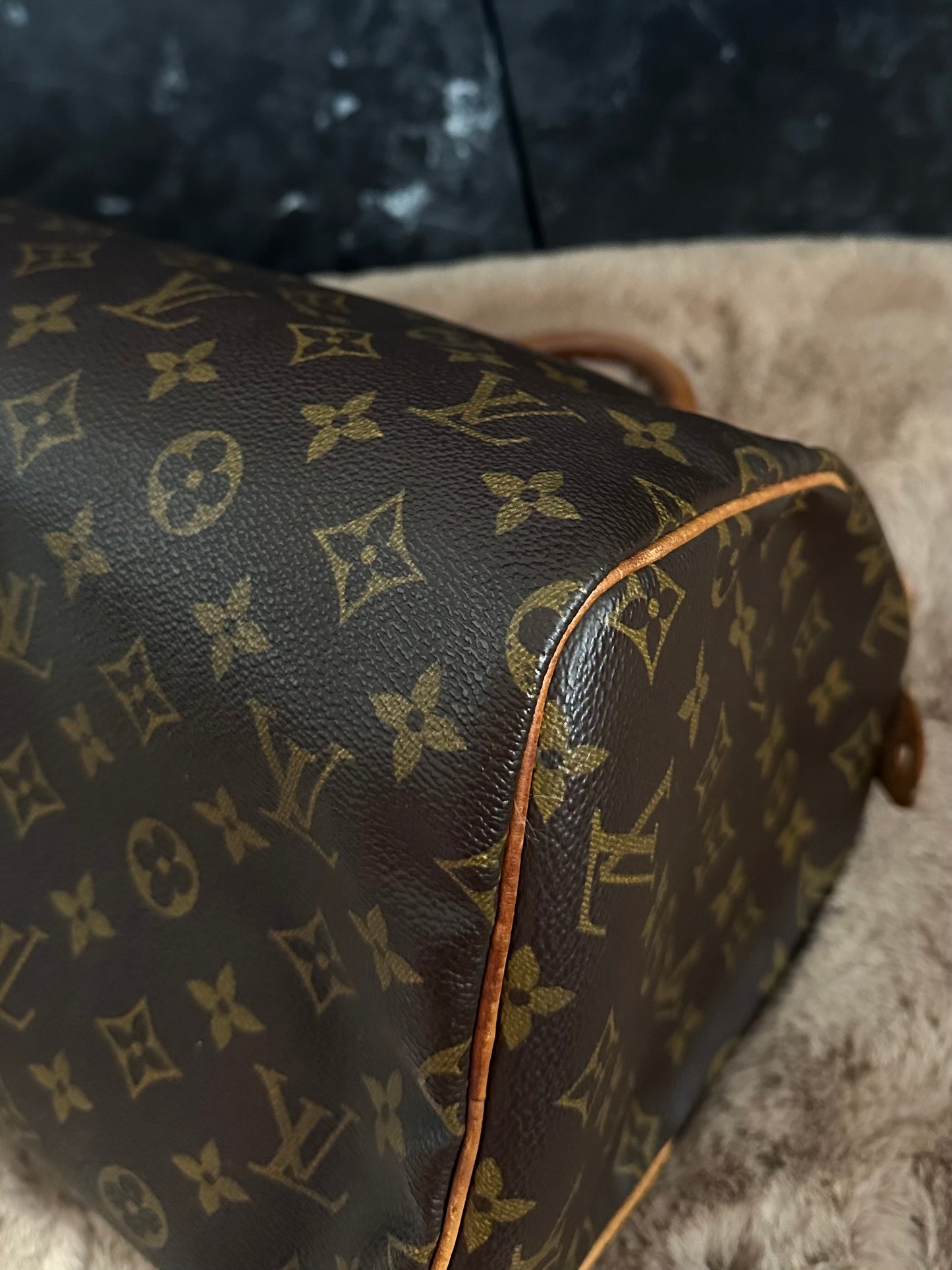 Louis Vuitton Speedy 30