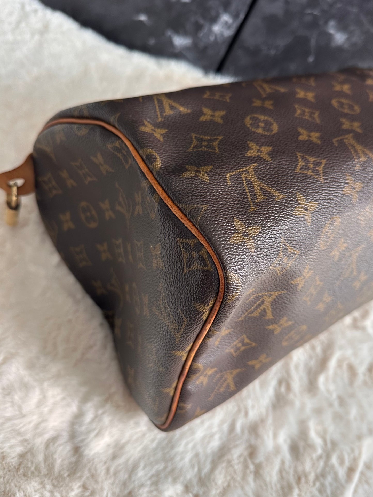Louis Vuitton Speedy 30