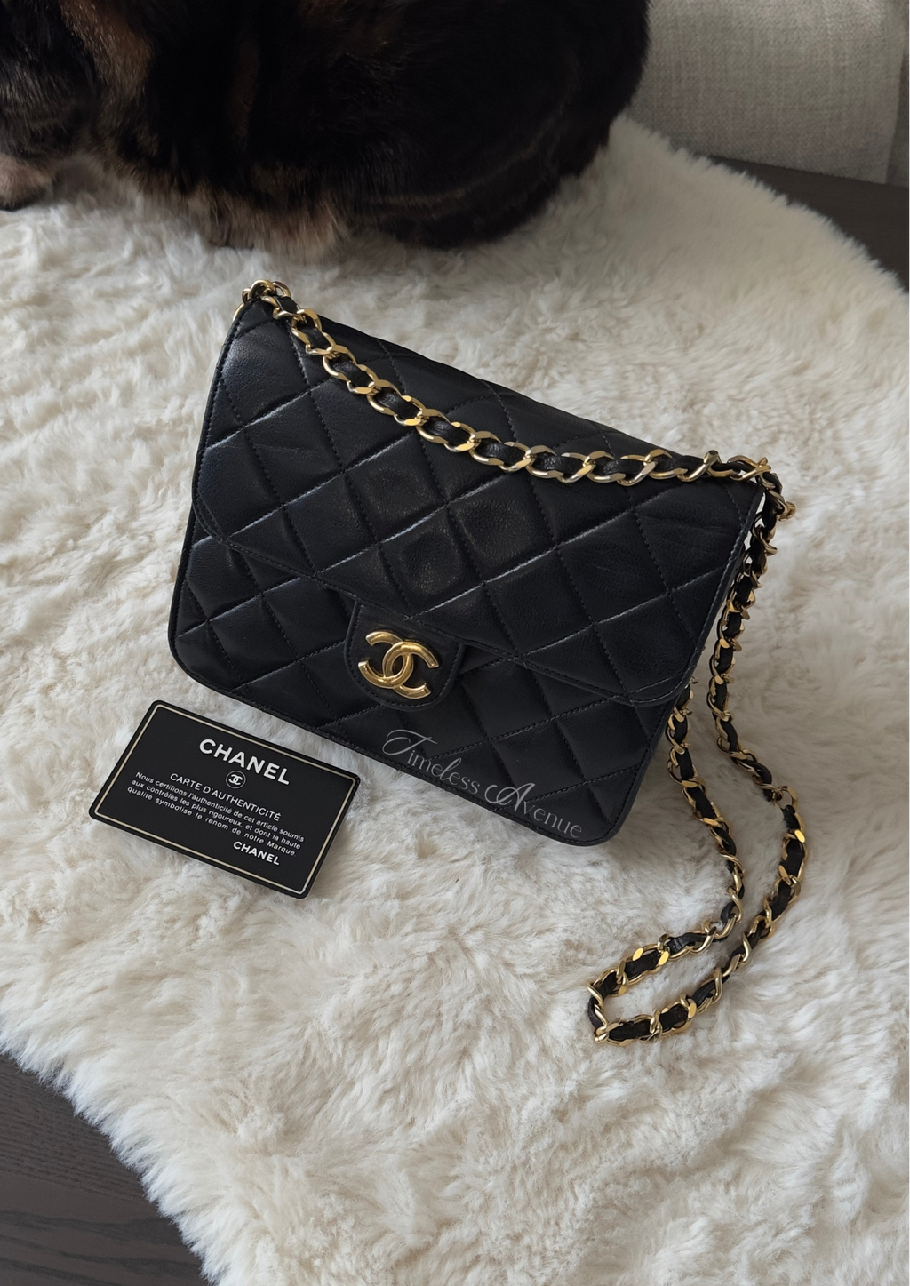 Chanel RARE Collector bag