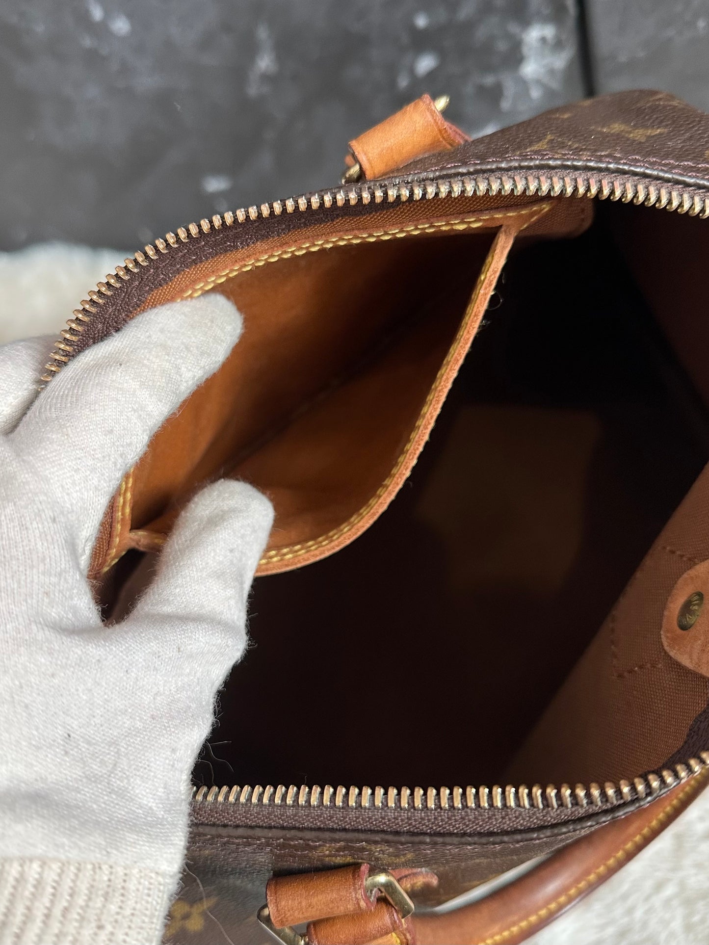 Louis Vuitton Speedy 25