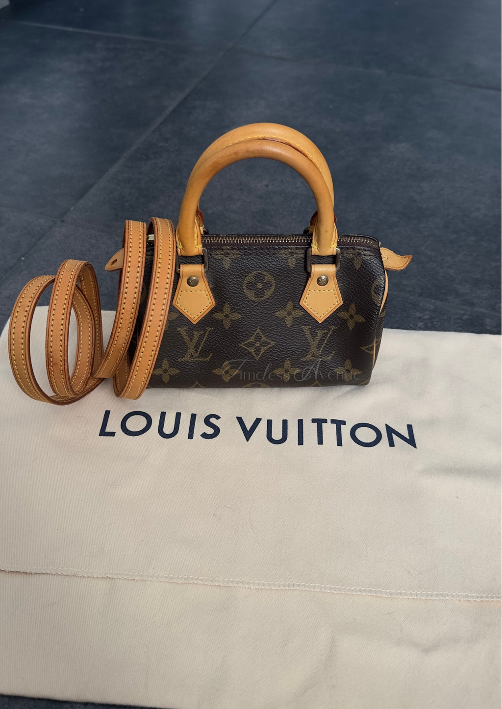 Louis Vuitton Nano Speedy