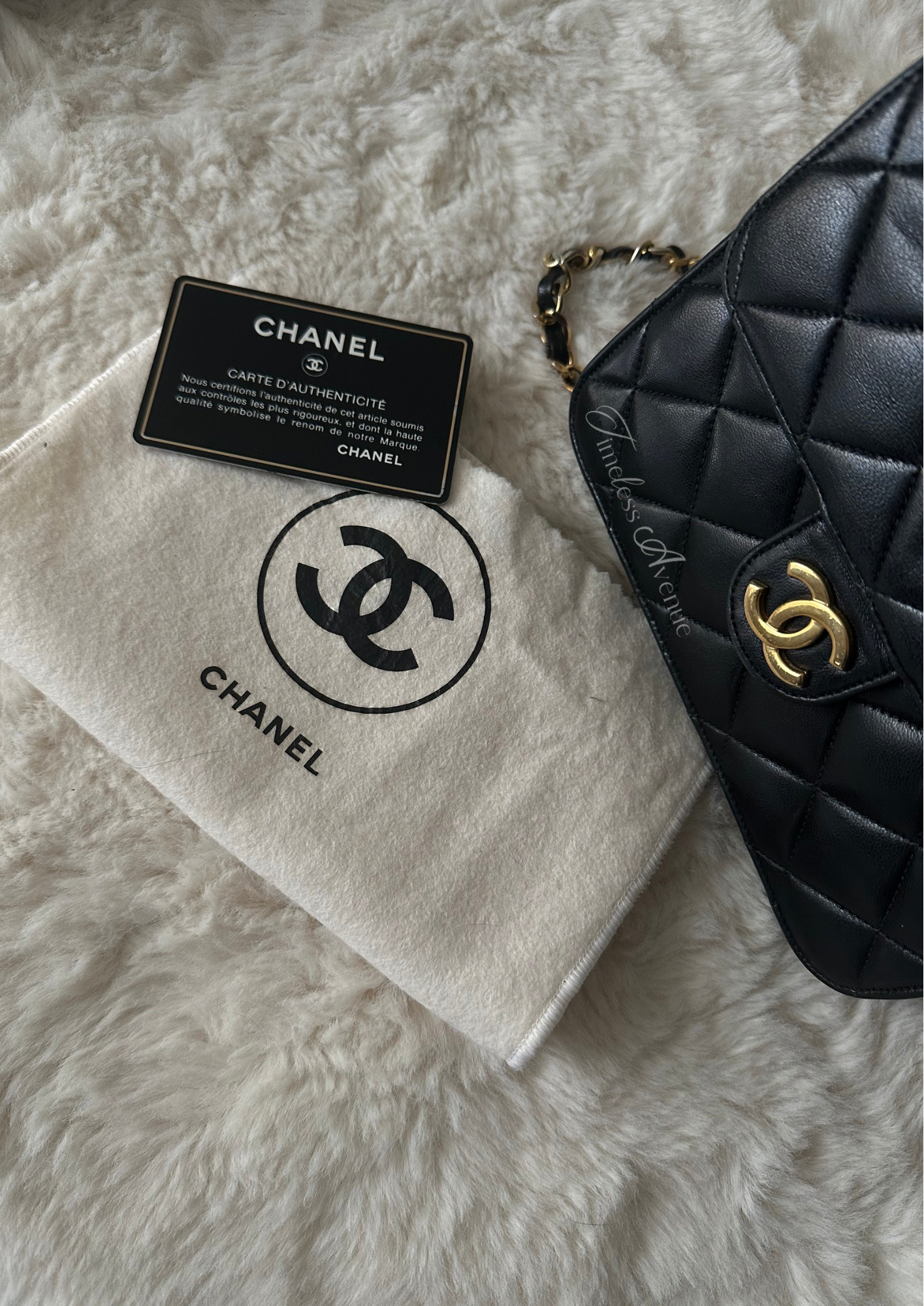 Chanel RARE Collector bag