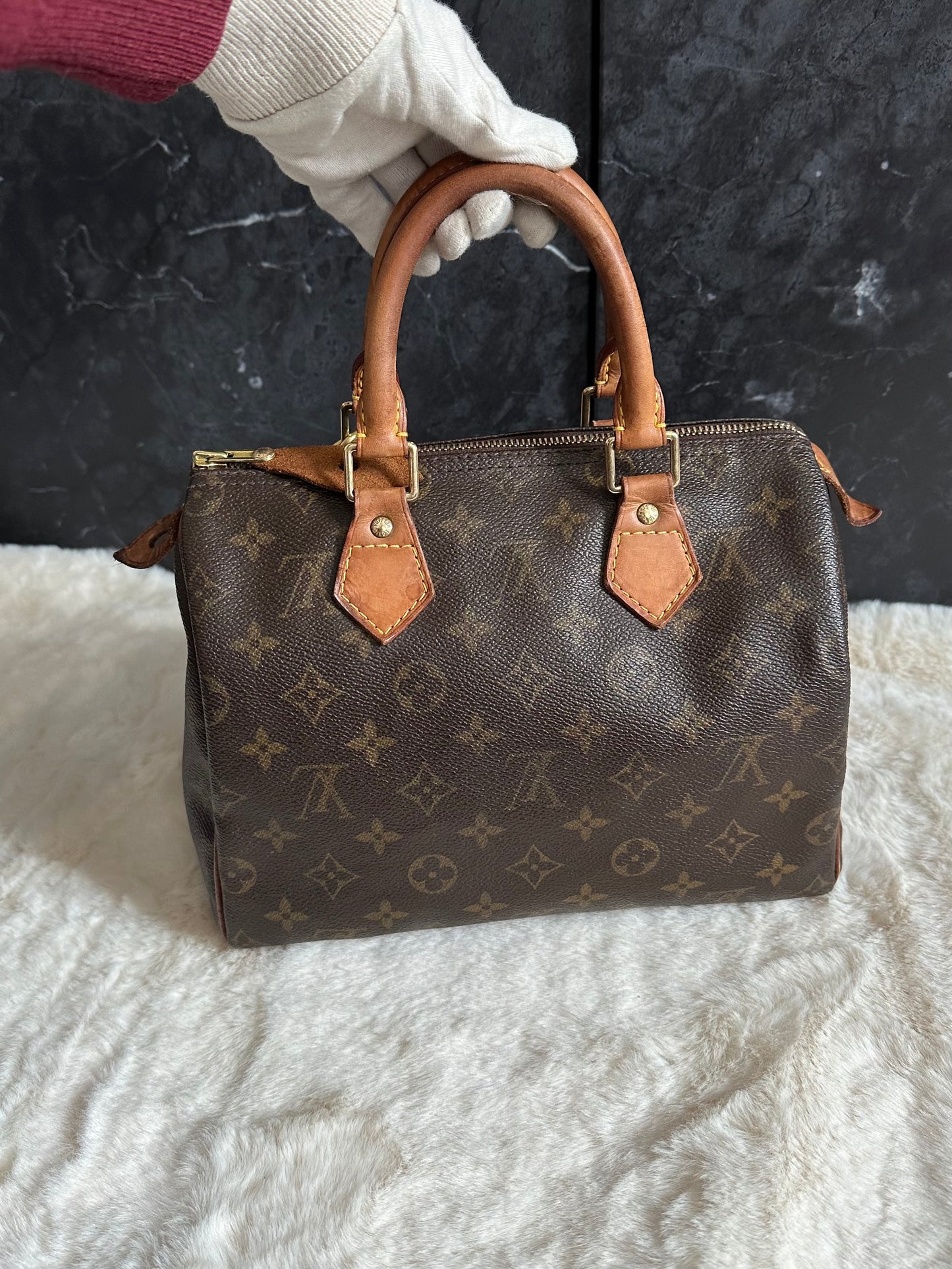 Louis Vuitton Speedy 25
