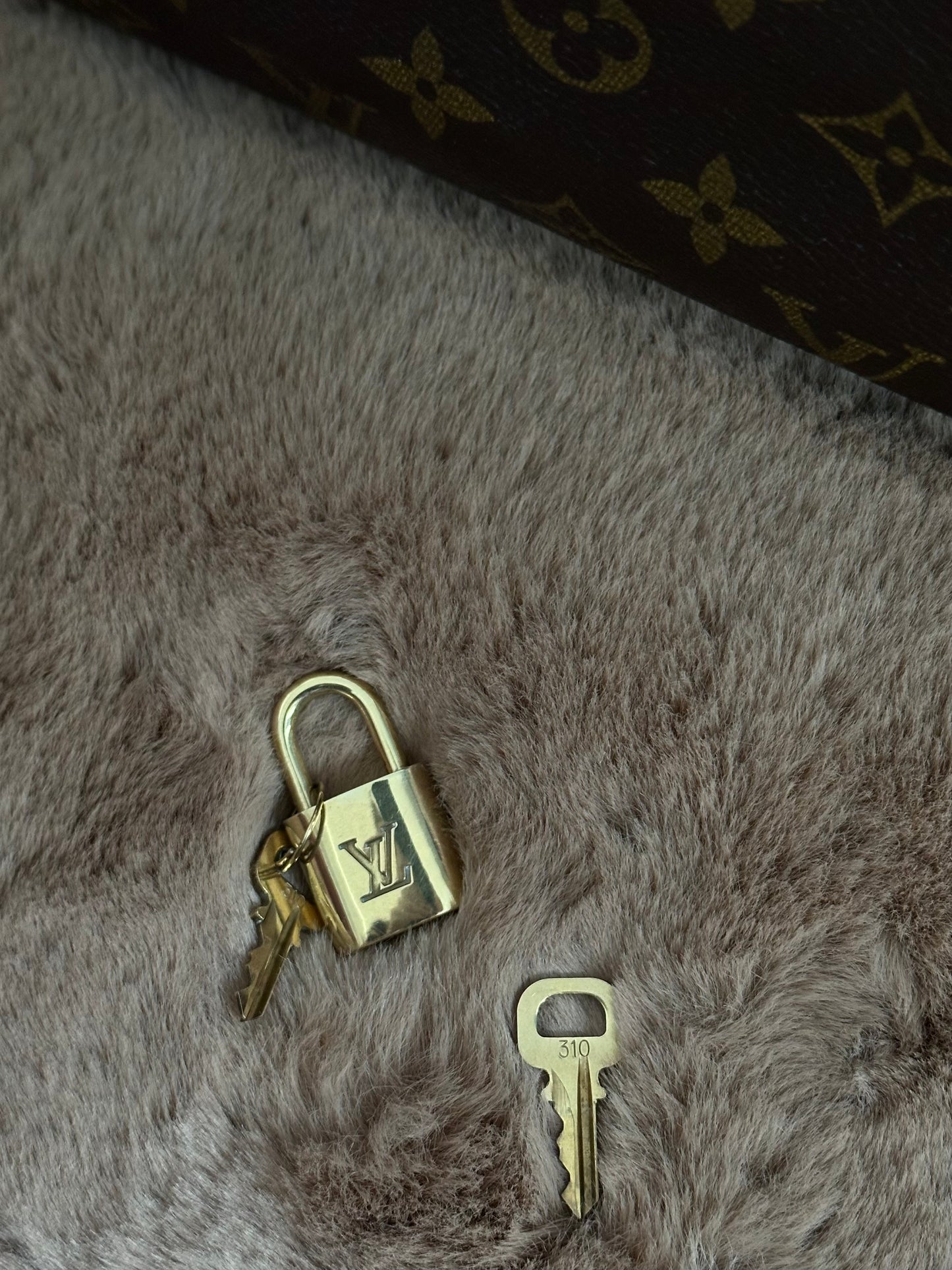 Louis Vuitton Speedy 30