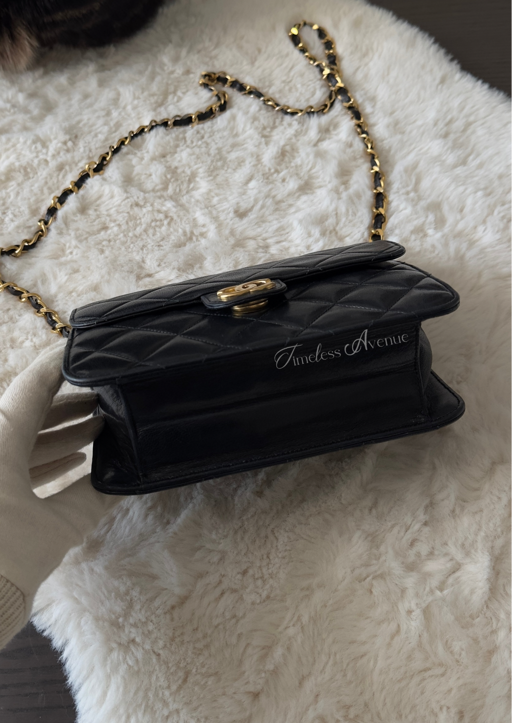 Chanel RARE Collector bag