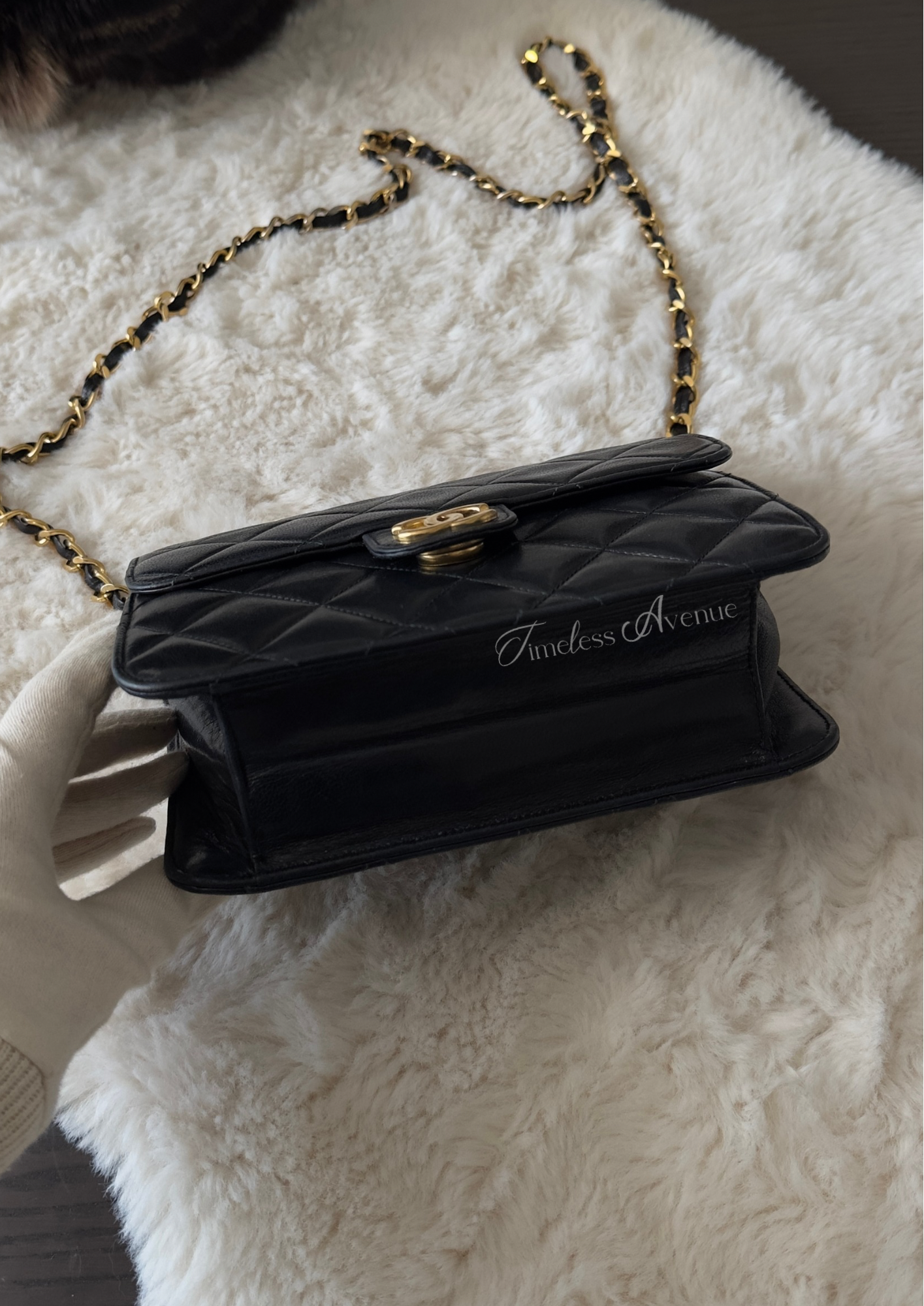 Chanel RARE Collector bag