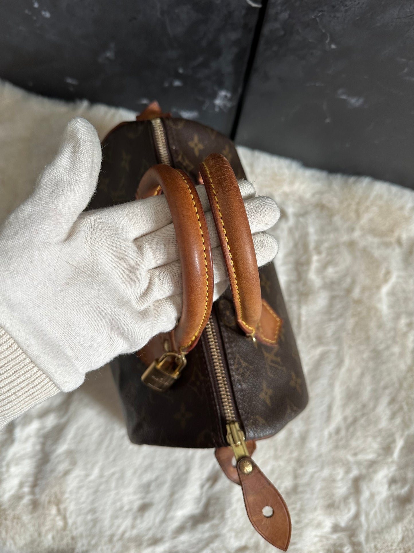 Louis Vuitton Speedy 25
