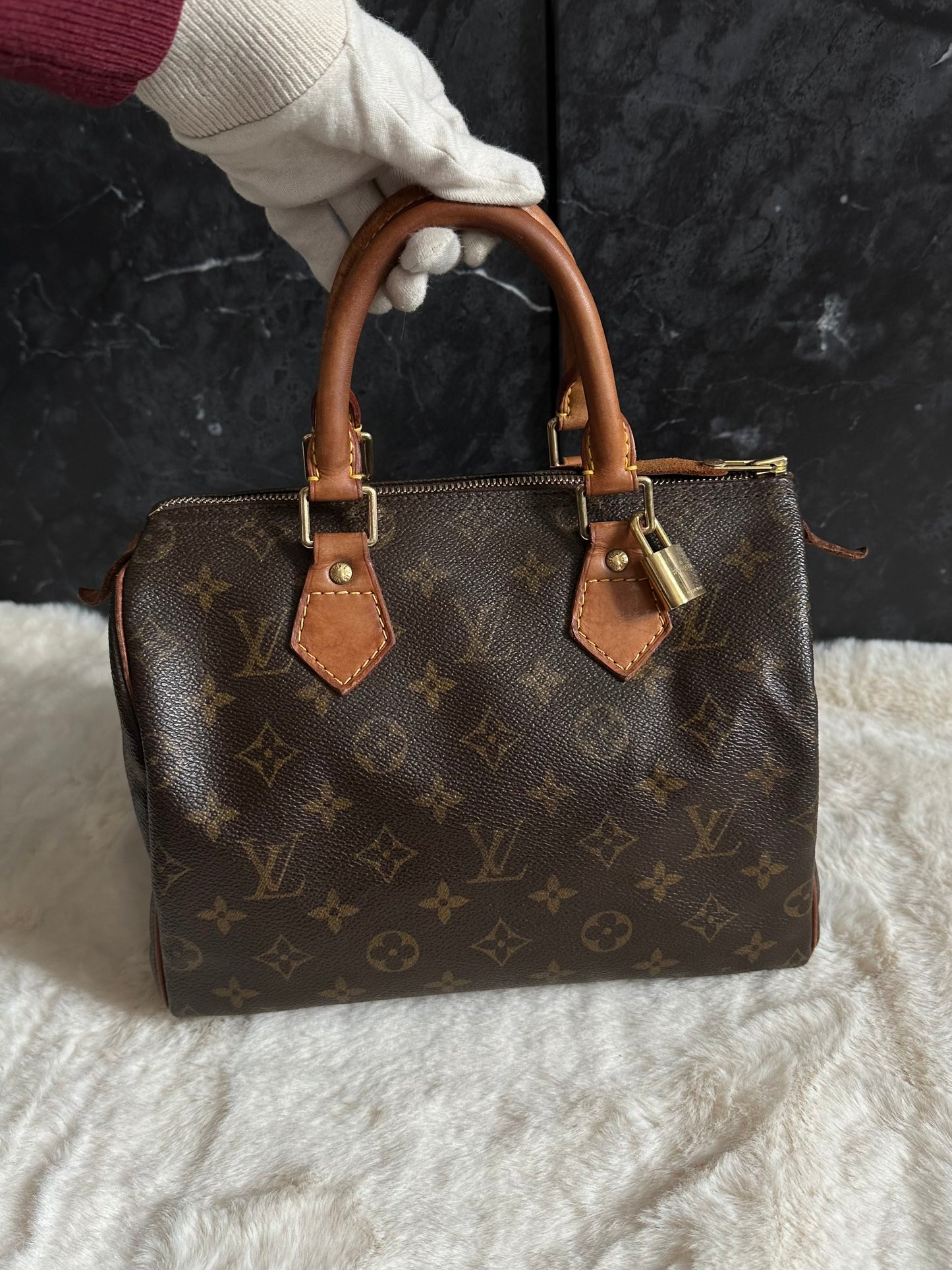 Louis Vuitton Speedy 25