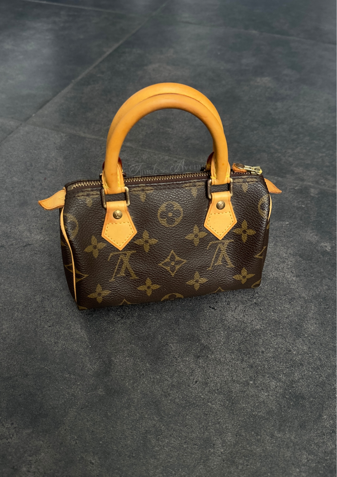 Louis Vuitton Nano Speedy