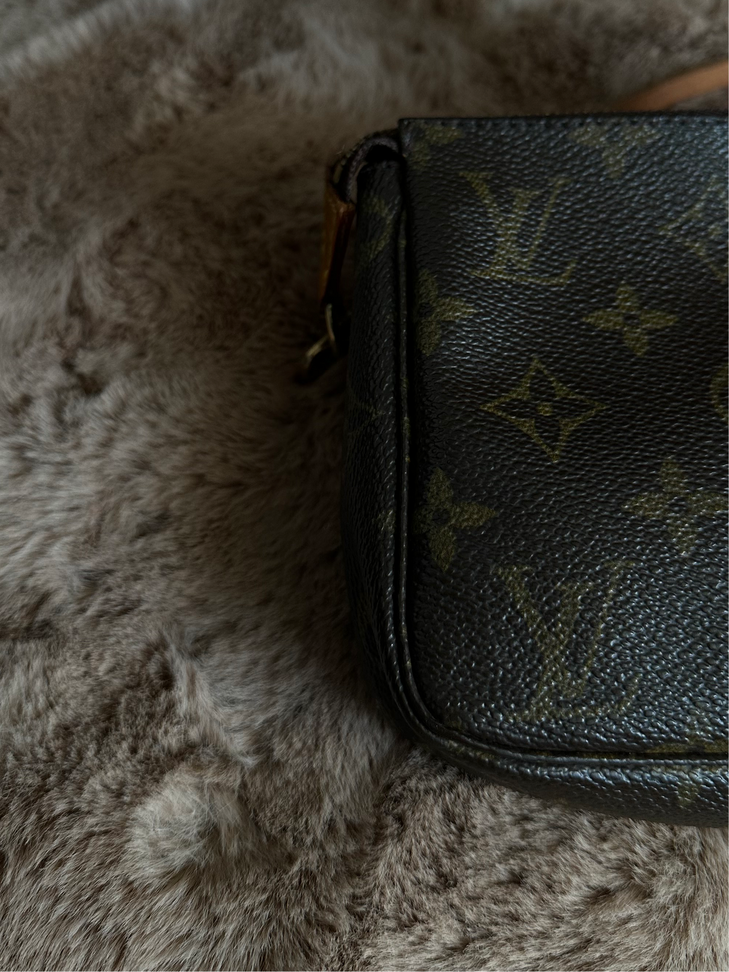 Louis Vuitton Pochette